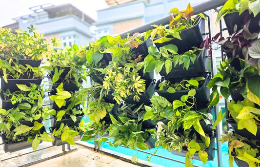 LaLaGreen Vertical Garden Hanging Planters with S-Hooks