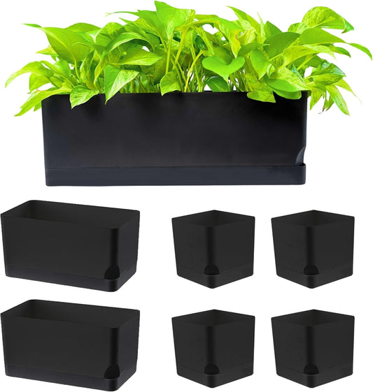 LaLaGreen Mixed-Size Self-Watering Planter Box Set