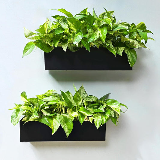 LaLaGreen Rectangular Metal Wall Planter Boxes