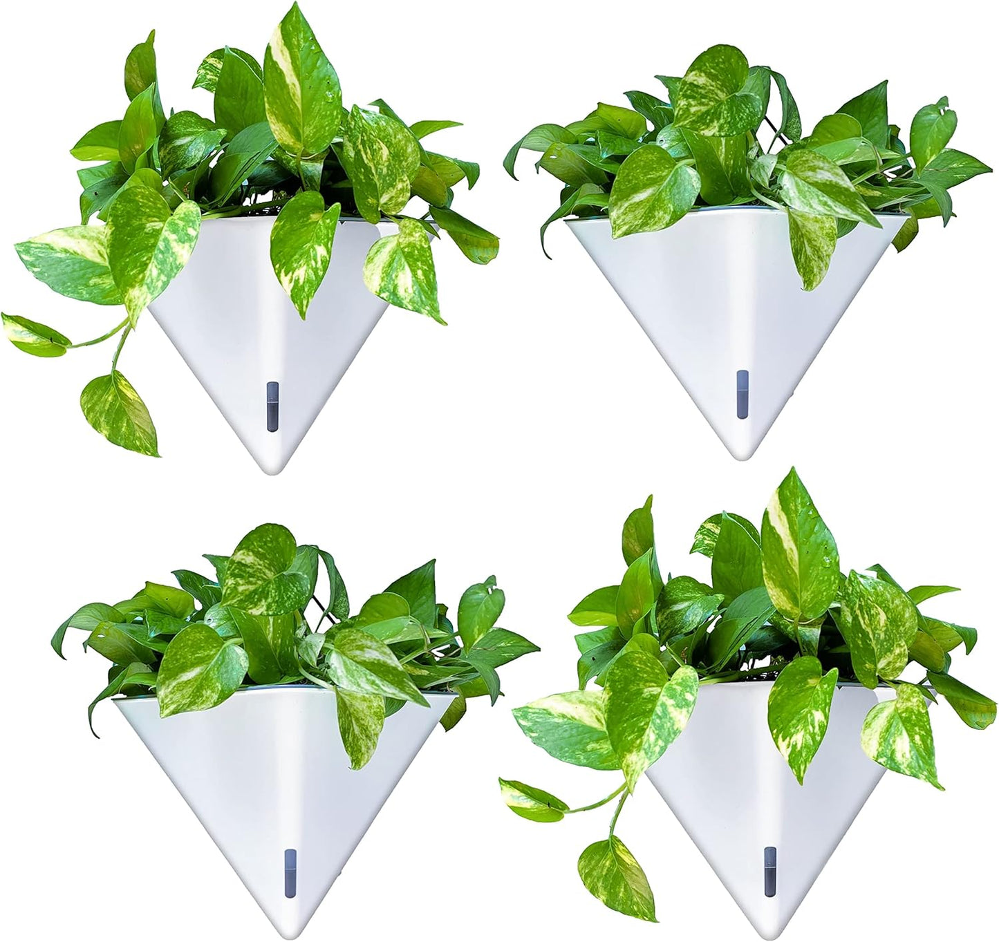 LaLaGreen Wall Planters for Indoor Plants - 4 Pack, 12 Inch Large Self Watering Black and White Mixed Color Geometric Indoor Vertical Garden Wall Hanging Flower Vase Vessel with Metal Hanger Stylish