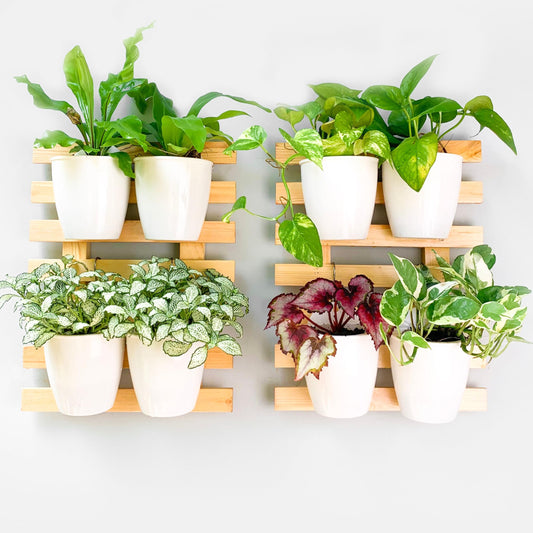 LaLaGreen Natural Wood Ladder-Style Wall Plant Holders