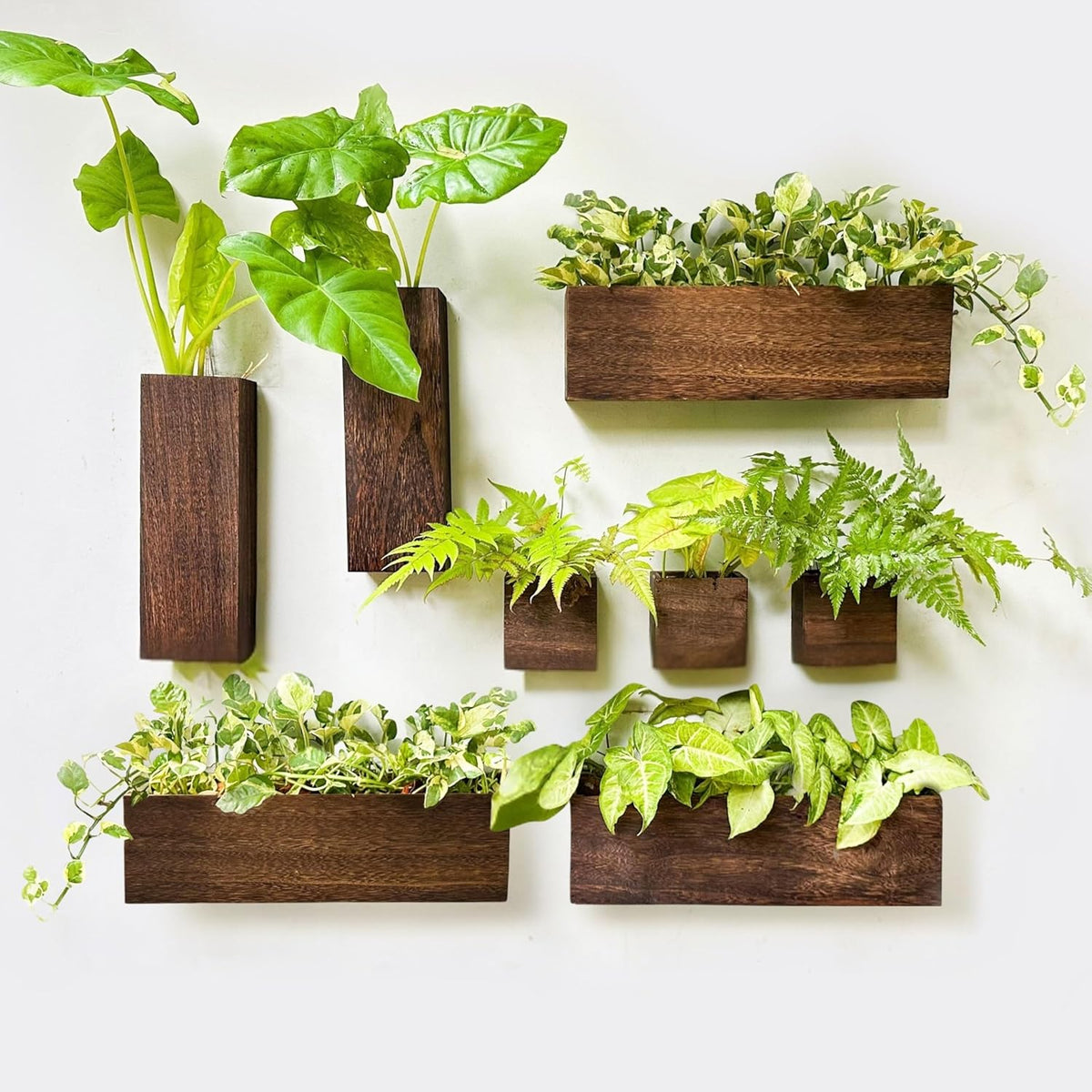 LaLaGreen Wooden Wall Planter Boxes and Floating Shelves Sets — Mixed sizes