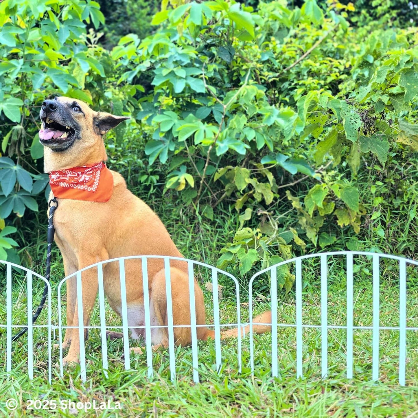 ShopLaLa Decorative Fences (10 Panels) 12in(L) x 16.5in(H) Rustproof White Metal Wire Animal Barrier Fence, Flower Edging for Landscape Outdoor Patio Decor Dog Yard Gates Fences Tall No Dig D-P13-16.5