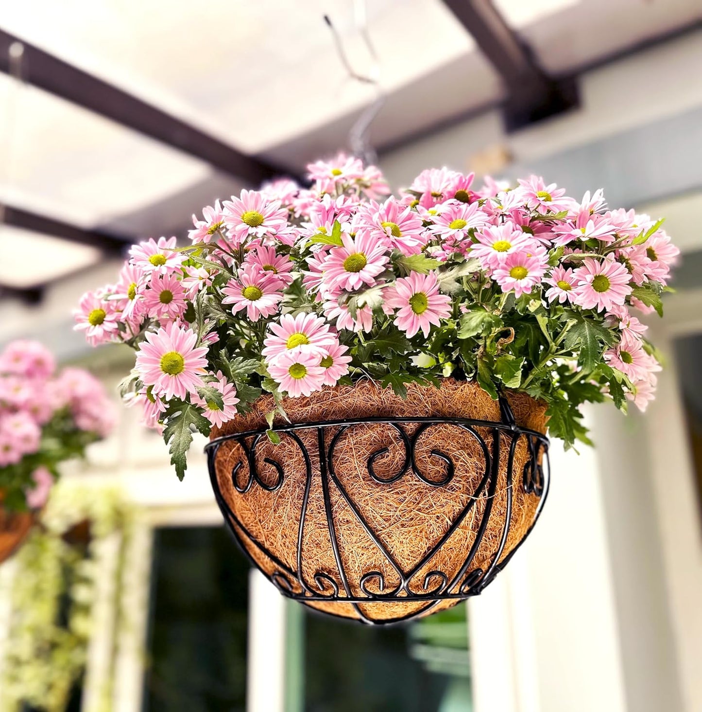 LaLaGreen Hanging Baskets for Plants (4 Pack, 14 Inch) Hanging Flower Pots with Coco Liner, Black Metal Wire Round Basket Plant Holder with Hanger Hook Chain, Outdoor Patio Deck Balcony Garden Decor