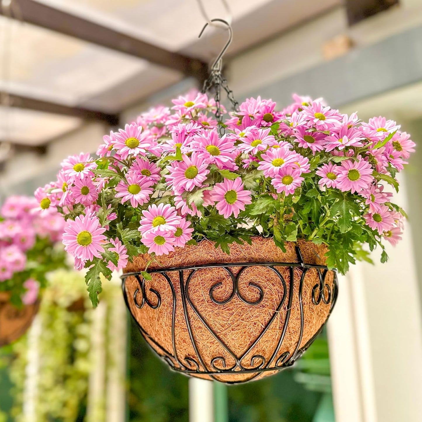 LaLaGreen Hanging Baskets for Plants (2 Pack, 12 Inch) Hanging Flower Pots with Coco Liner, Black Metal Wire Round Basket Plant Holder with Hanger Hook Chain, Outdoor Patio Deck Balcony Garden Décor