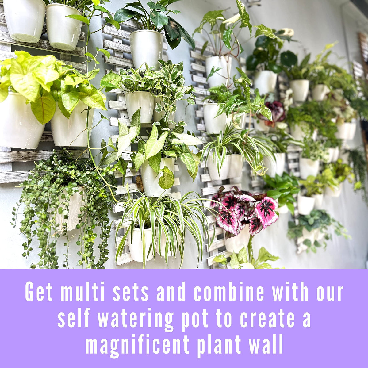 LaLaGreen White Wooden Ladder-Style Wall Plant Holders