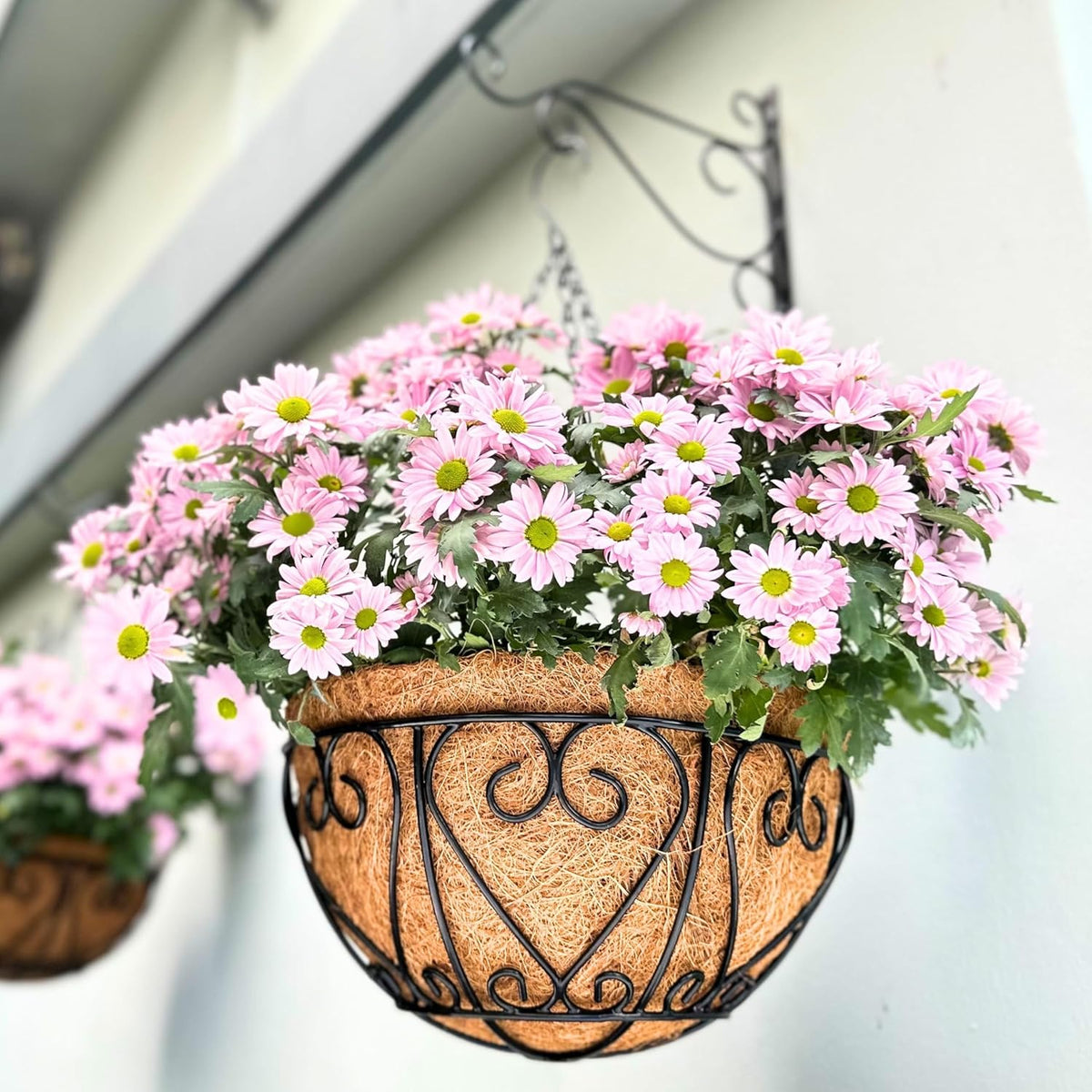 LaLaGreen Metal Wire Hanging Baskets with Coco Liners (Heart)
