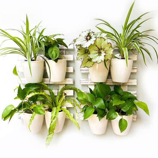 LaLaGreen White Wooden Ladder-Style Wall Plant Holders