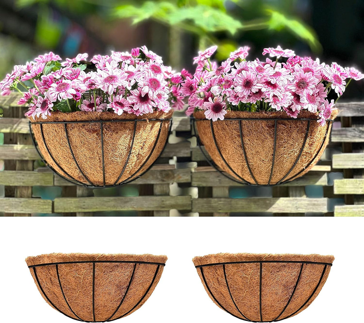 LaLaGreen Wall Hanging Planters for Plants (6 Pack, 12 Inch) Wall Mounted Flower Baskets with Coco Liner, Black Metal Iron Wire Plant Holder for Outdoor Fence Railing Outside Deck Porch Balcony Garden
