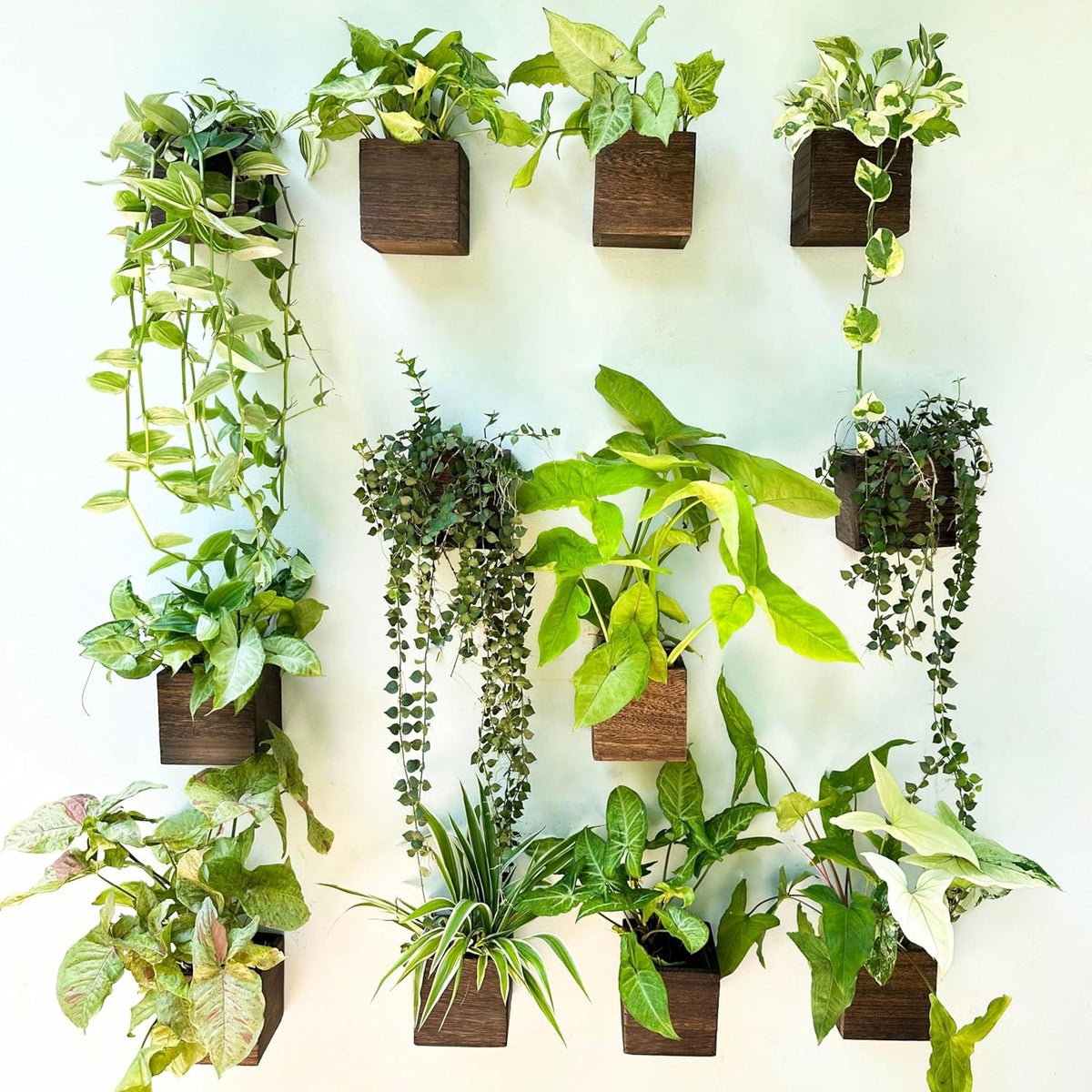 LaLaGreen Small Square Wooden Wall Planter Boxes