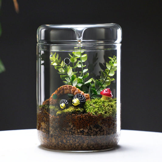 LaLaGreen Indoor Planter (6x6 Inch) Succulent Plants for Small Glass Terrarium Jar with Lid, Tabletop Decoration Reptile Cactus Mini Fern Fairy Moss Container Pot Kitchen Office Home Garden Decor