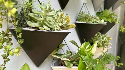 LaLaGreen Wall Planters for Indoor Plants - 2 Pack, 12 Inch Large Self Watering Black Geometric Hanging Flower Vase Vessel with Metal Hanger, Modern Stylish Wall Mounted Succulent Pot Holder Decor