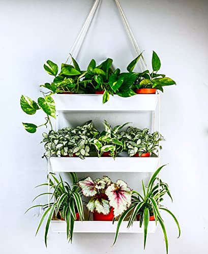 LaLaGreen 3-Tier 16-Inch Metal Wall Planters for Indoor Plants