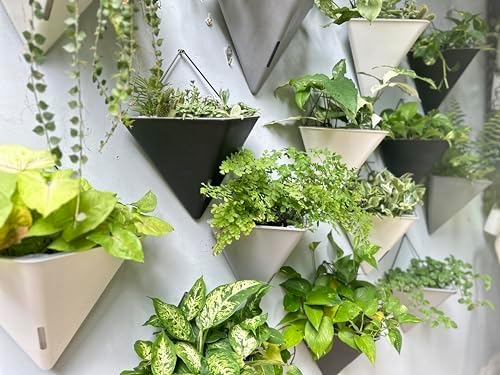 LaLaGreen Wall Planters for Indoor Plants - 4 Pack, 12 Inch Large Self Watering Black Geometric Hanging Flower Vase Vessel with Metal Hanger, Modern Stylish Wall Mounted Succulent Pot Holder Decor