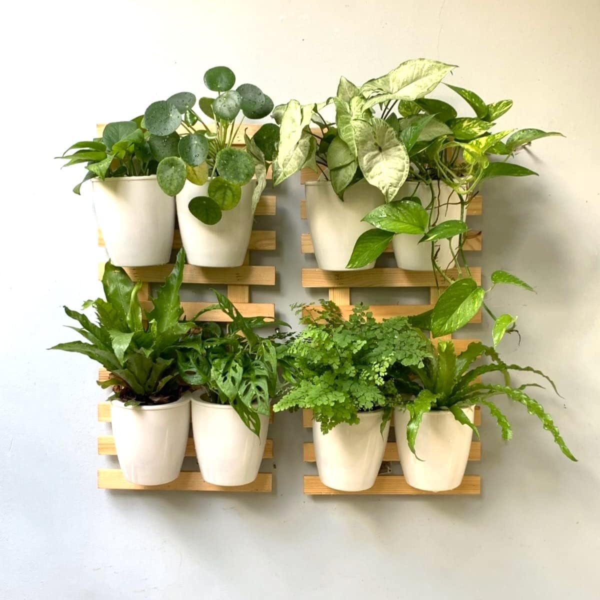 LaLaGreen Natural Wood Ladder-Style Wall Plant Holders