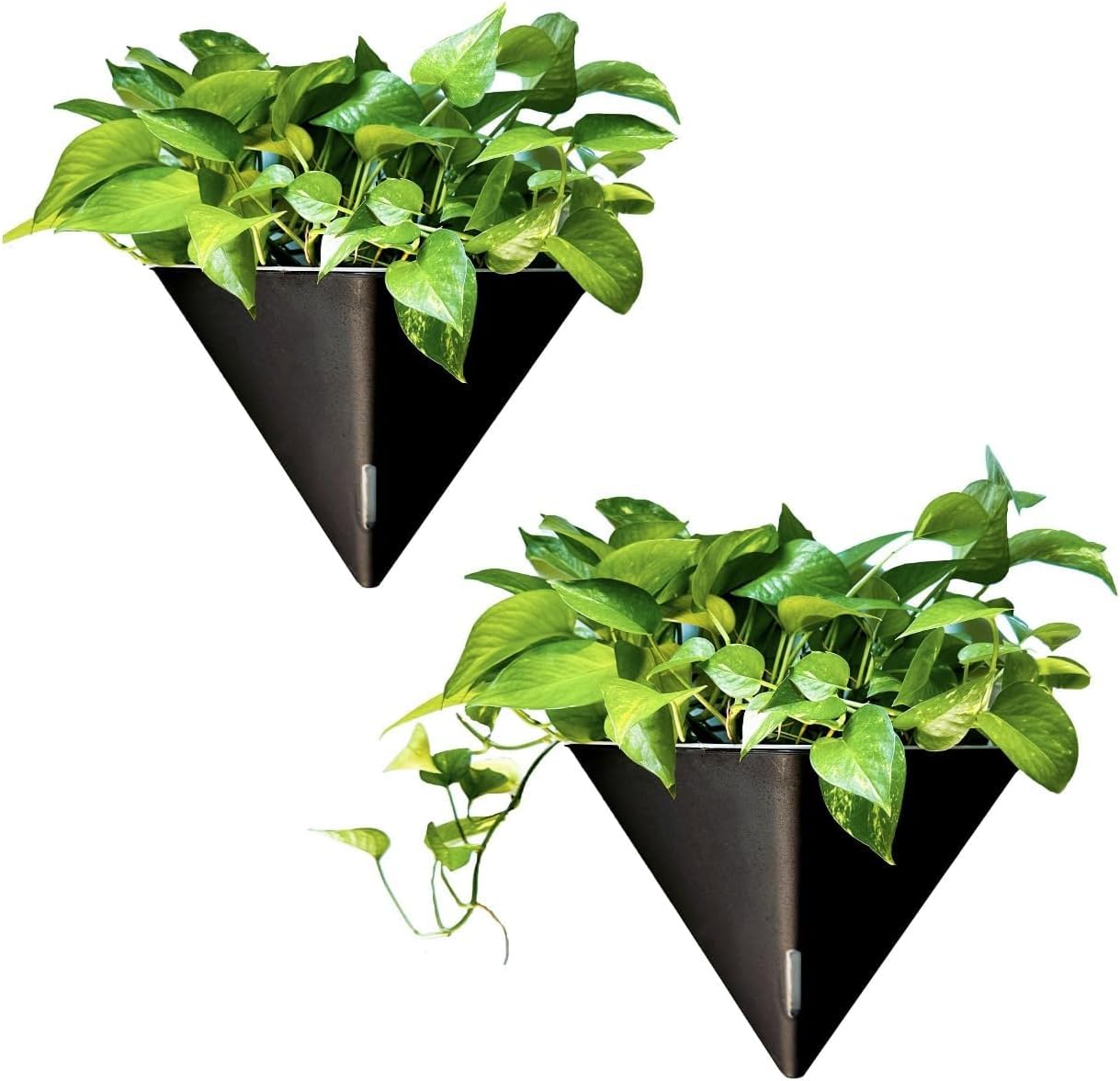LaLaGreen Wall Planters for Indoor Plants - 2 Pack, 12 Inch Large Self Watering Black Geometric Hanging Flower Vase Vessel with Metal Hanger, Modern Stylish Wall Mounted Succulent Pot Holder Decor