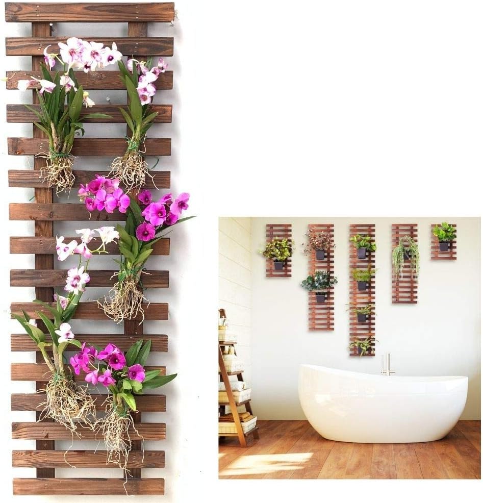 LaLaGreen Wooden Wall Plant Holders — Natural Wood