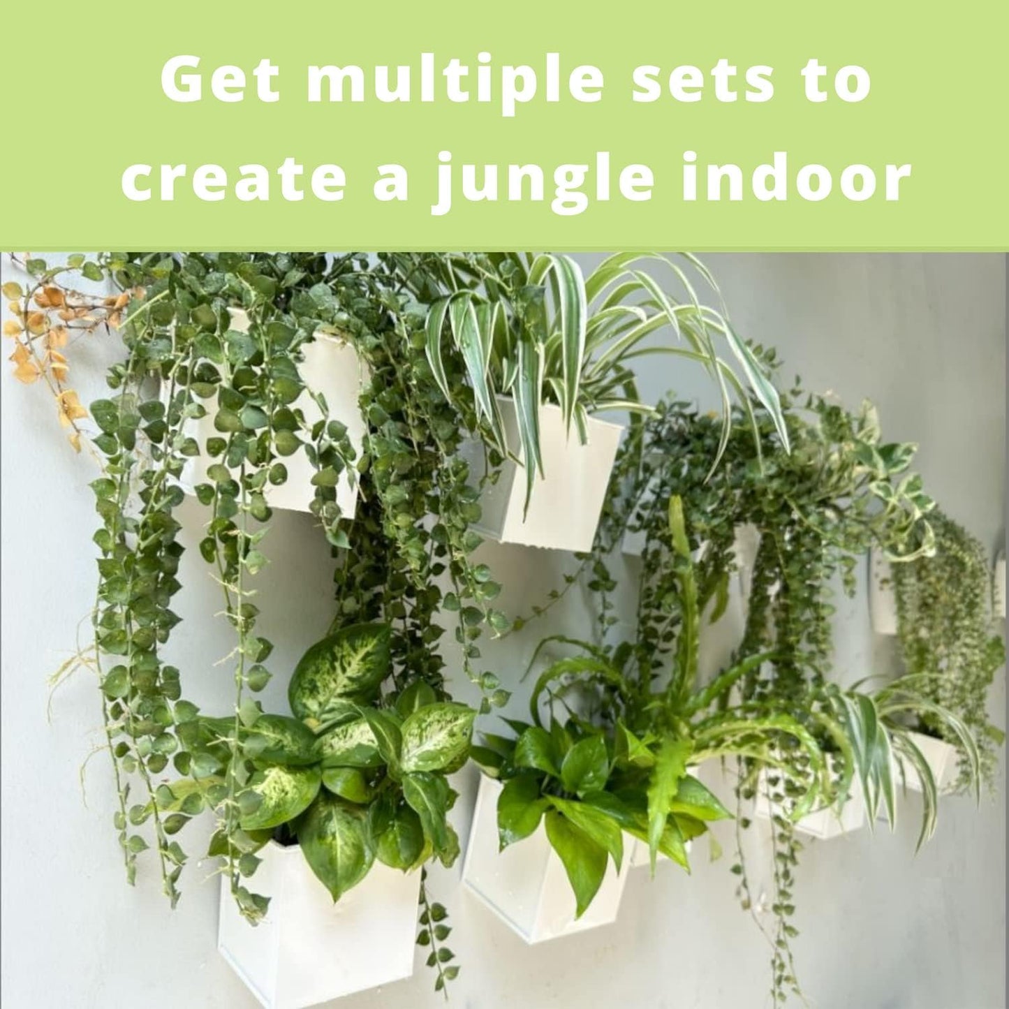 LaLaGreen Wall Planter - 6 Pack, 4 Inch Square Metal Wall Planter for Indoor Plants, Small White Wall Mounted Flower Pots Outdoor Herb Garden Decor, Balcony Railings Hanging Buckets Porch Patio