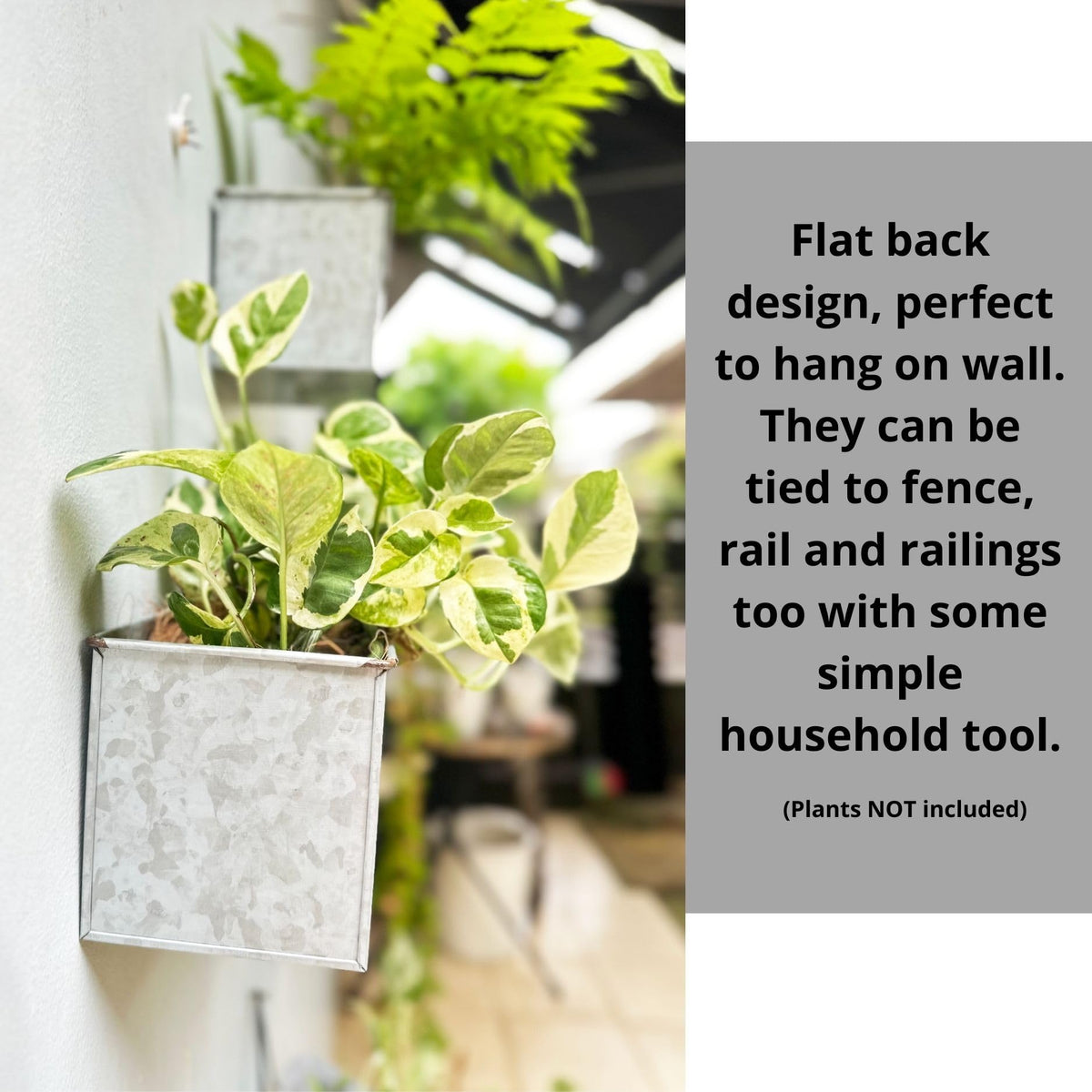 LaLaGreen Metal Wall-Mount Planter Pots