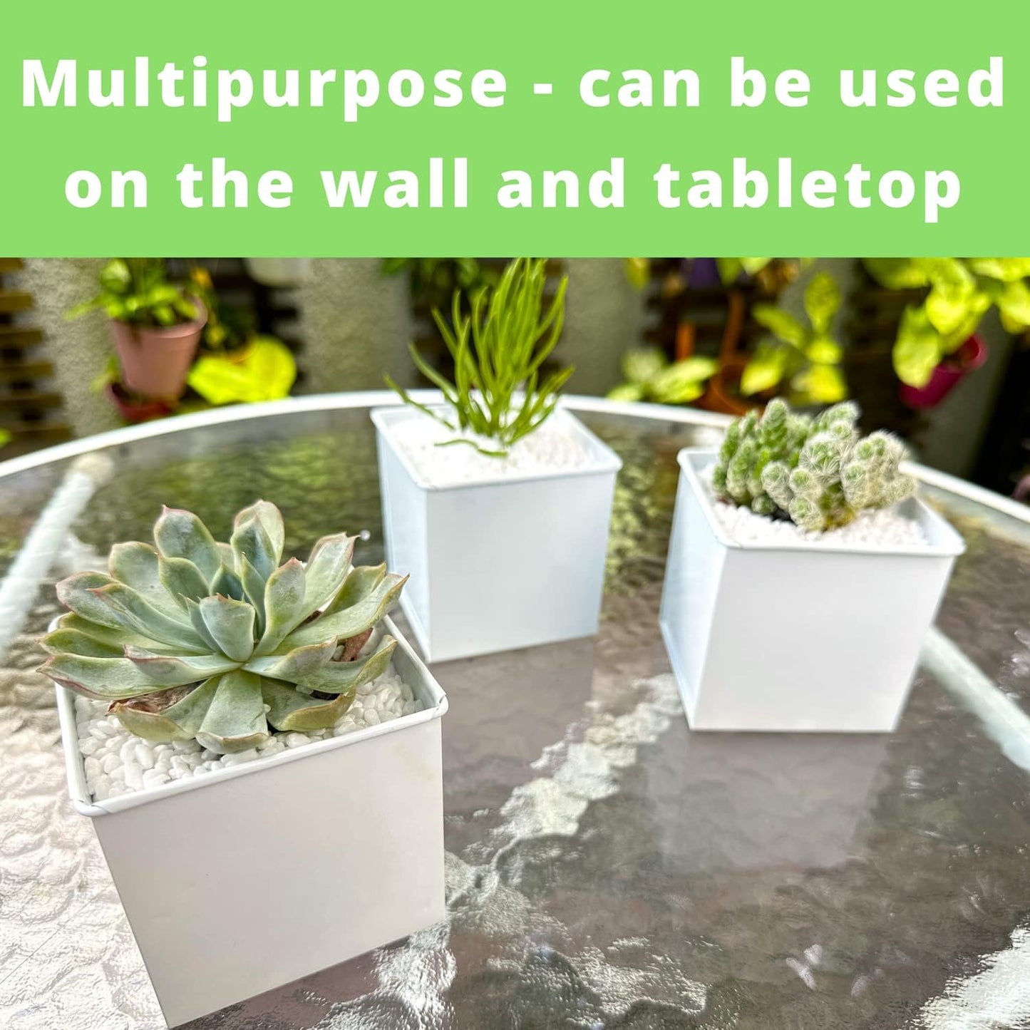 LaLaGreen Wall Planter - 6 Pack, 4 Inch Square Metal Wall Planter for Indoor Plants, Small White Wall Mounted Flower Pots Outdoor Herb Garden Decor, Balcony Railings Hanging Buckets Porch Patio