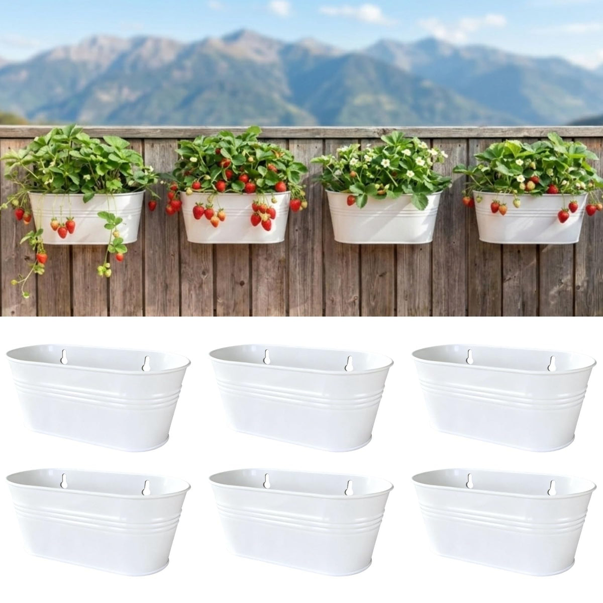 LaLaGreen Oval Metal Wall Planters