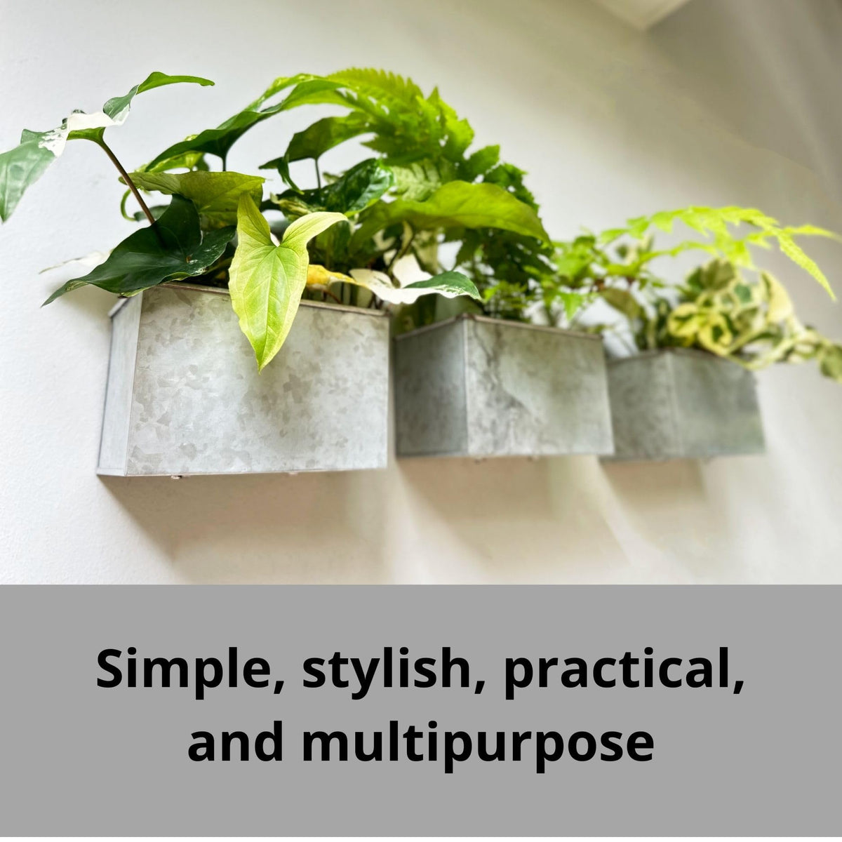 LaLaGreen Metal Wall-Mount Planter Pots