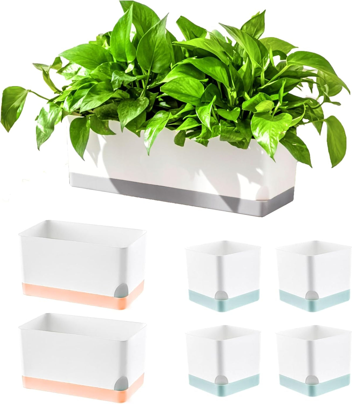 LaLaGreen Mixed-Size Self-Watering Planter Box Set