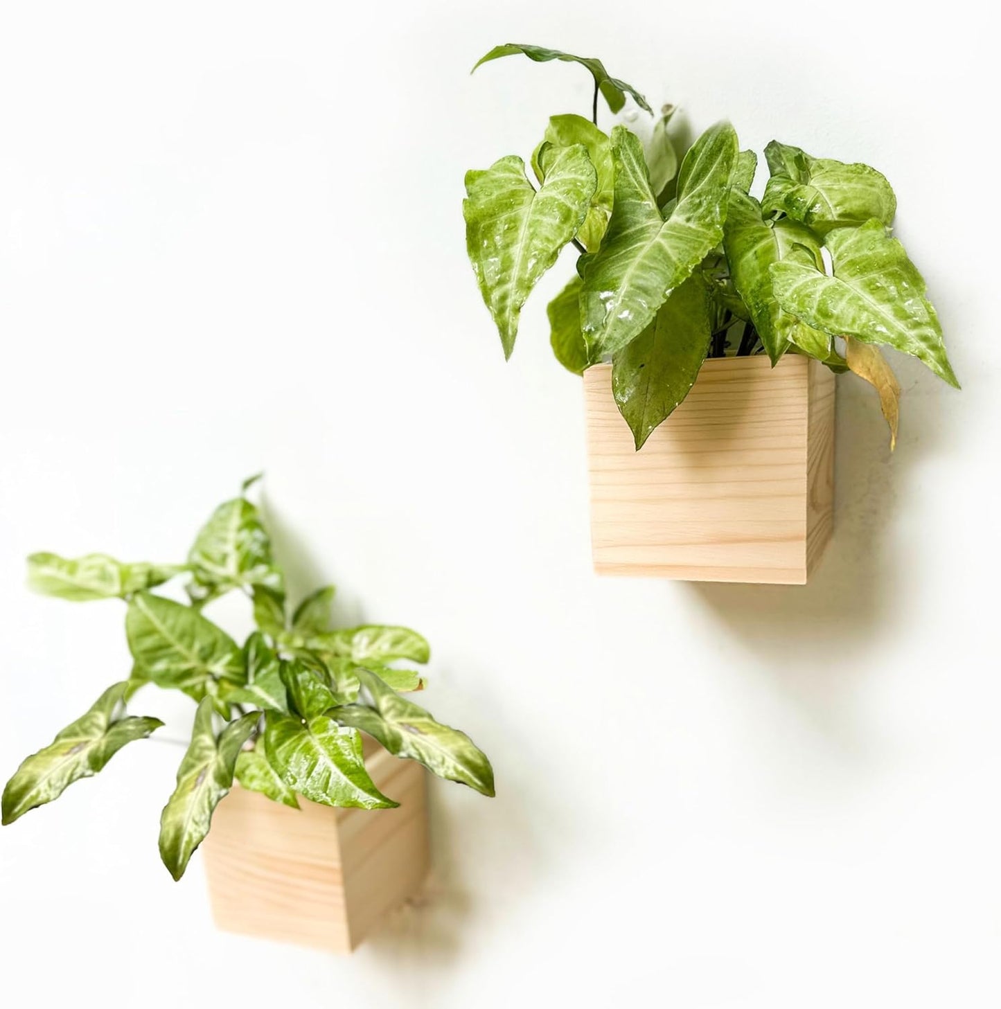LaLaGreen Wooden Planter Box for Plants (2 Pack, 4x4 Inch) Small Square Wall Planters for Indoor Plant, Natural Wood Hanging Flower Pot Boxes Table Centerpiece Herb Balcony Home Garden Office Decor