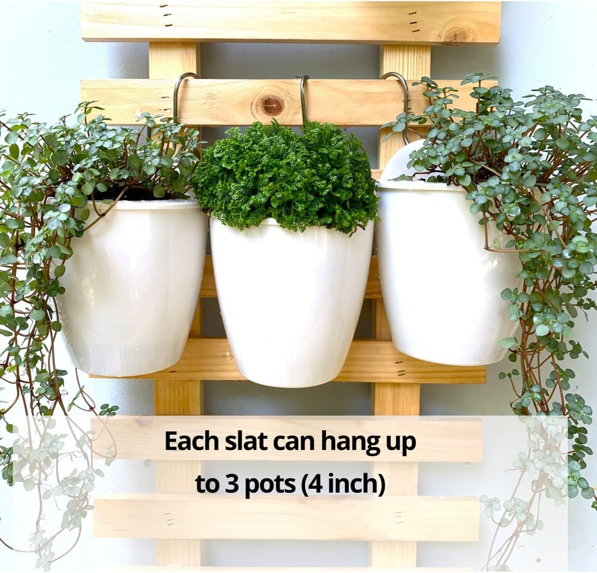 ShopLaLa Wooden Wall Planter - 2 Pack Wall Hanging Planters for Indoor Plants Ladder Wall Mount Natural Wood Holder Flower Pots Vertical Living Balcony Unique Large Green Plant Decor 23.6" (60cm)