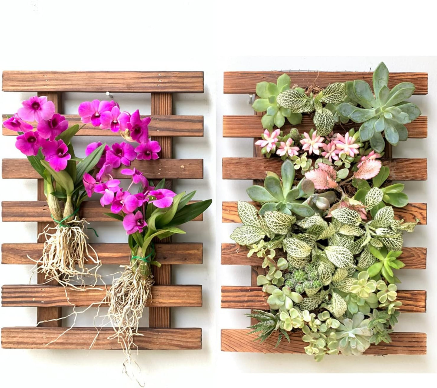 ShopLaLa Wall Planter – Wooden Air Plant Succulent Holder Hanger Indoor Outdoor, Live Orchid Wall Wood Display Frame Vertical Garden Balcony Deck Bathroom Macetas para Plantas De Aire 15.7" (40cm)