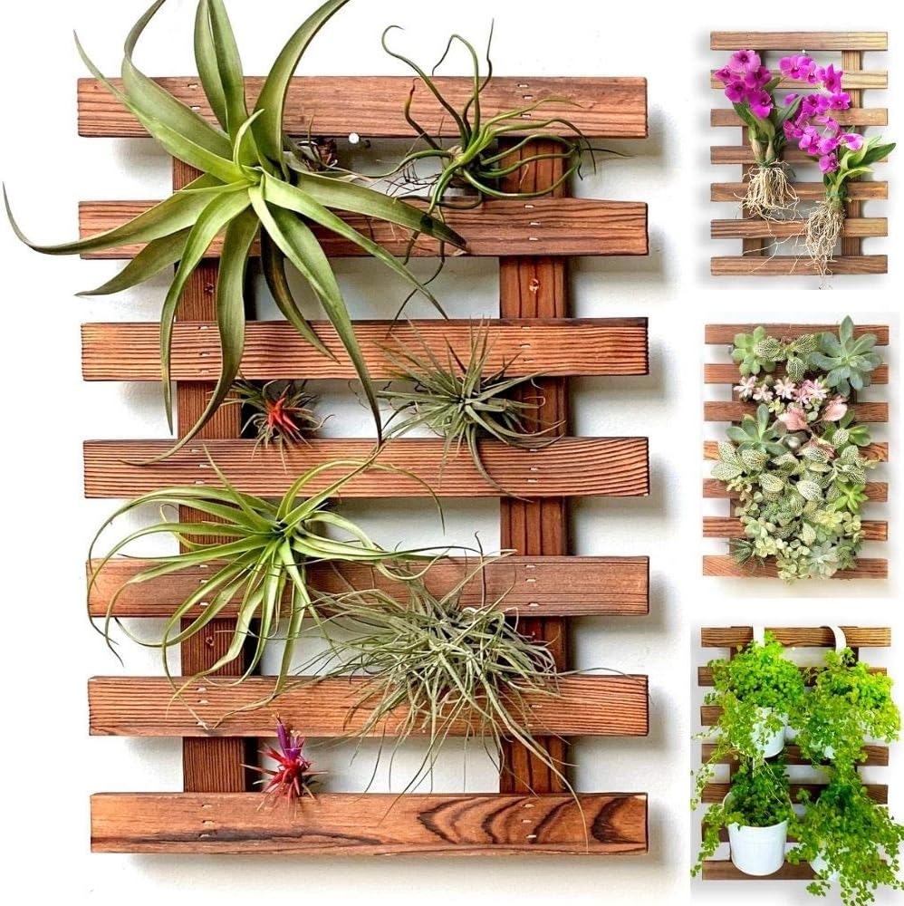 ShopLaLa Wall Planter - 2 Pack Wooden Orchid Planter Frame Display Outdoor Plants, Wall Mount Air Plants Succulent Holder Hanger, Vertical Garden Plant Wall Decor Macetas para Orquideas 15.7" (40cm)