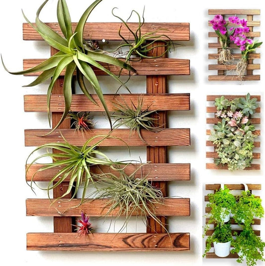 ShopLaLa Wall Planter – Wooden Air Plant Succulent Holder Hanger Indoor Outdoor, Live Orchid Wall Wood Display Frame Vertical Garden Balcony Deck Bathroom Macetas para Plantas De Aire 15.7" (40cm)
