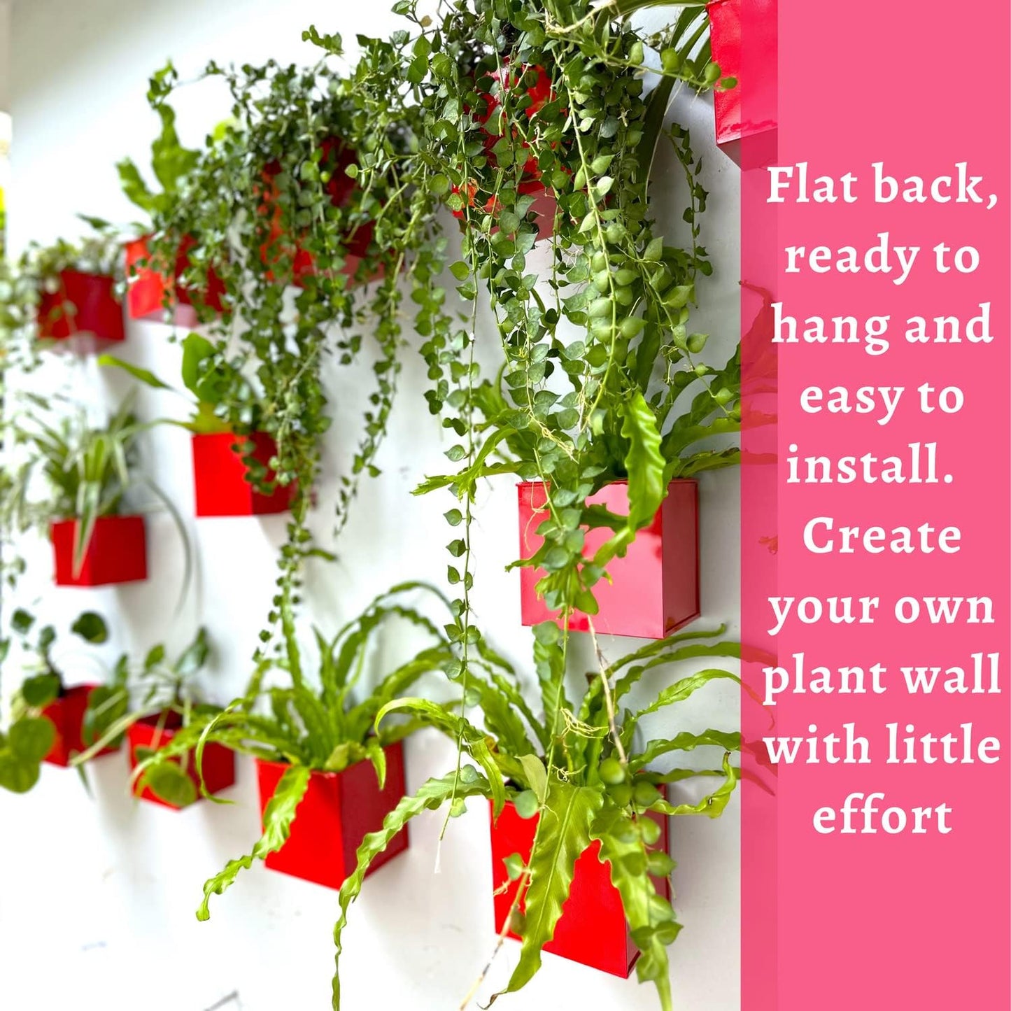 LaLaGreen Wall Planter - 6 Pack, 4 Inch Square Red Metal Wall Planter for Indoor Plants, Small Wall Mounted Christmas Decoration Flower Pots Outdoor Herb Garden, Balcony Railings Buckets Fence Porch