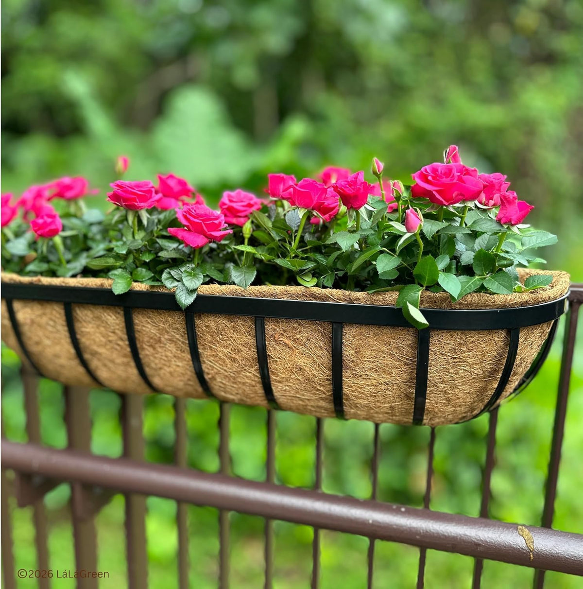 LaLaGreen Half-Round Rectangular Coconut Coir Replacement Liners