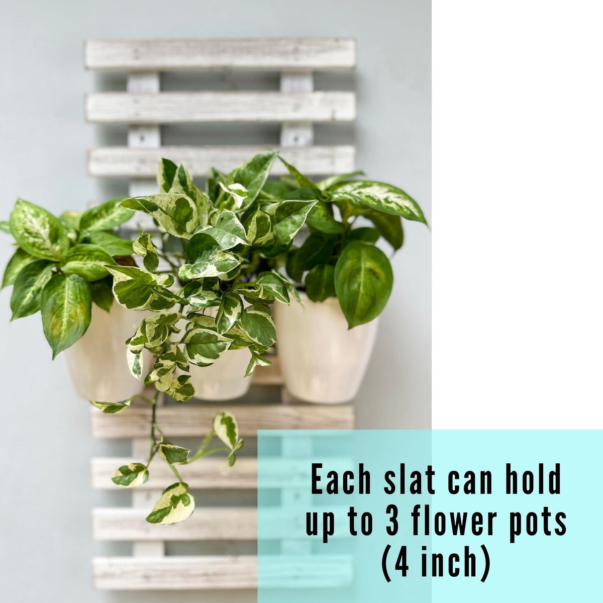 LaLaGreen White Wooden Ladder-Style Wall Plant Holders
