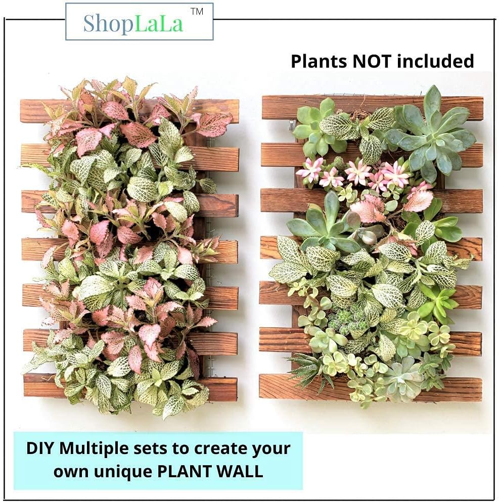 ShopLaLa Wall Planter - 2 Pack Wooden Orchid Planter Frame Display Outdoor Plants, Wall Mount Air Plants Succulent Holder Hanger, Vertical Garden Plant Wall Decor Macetas para Orquideas 15.7" (40cm)
