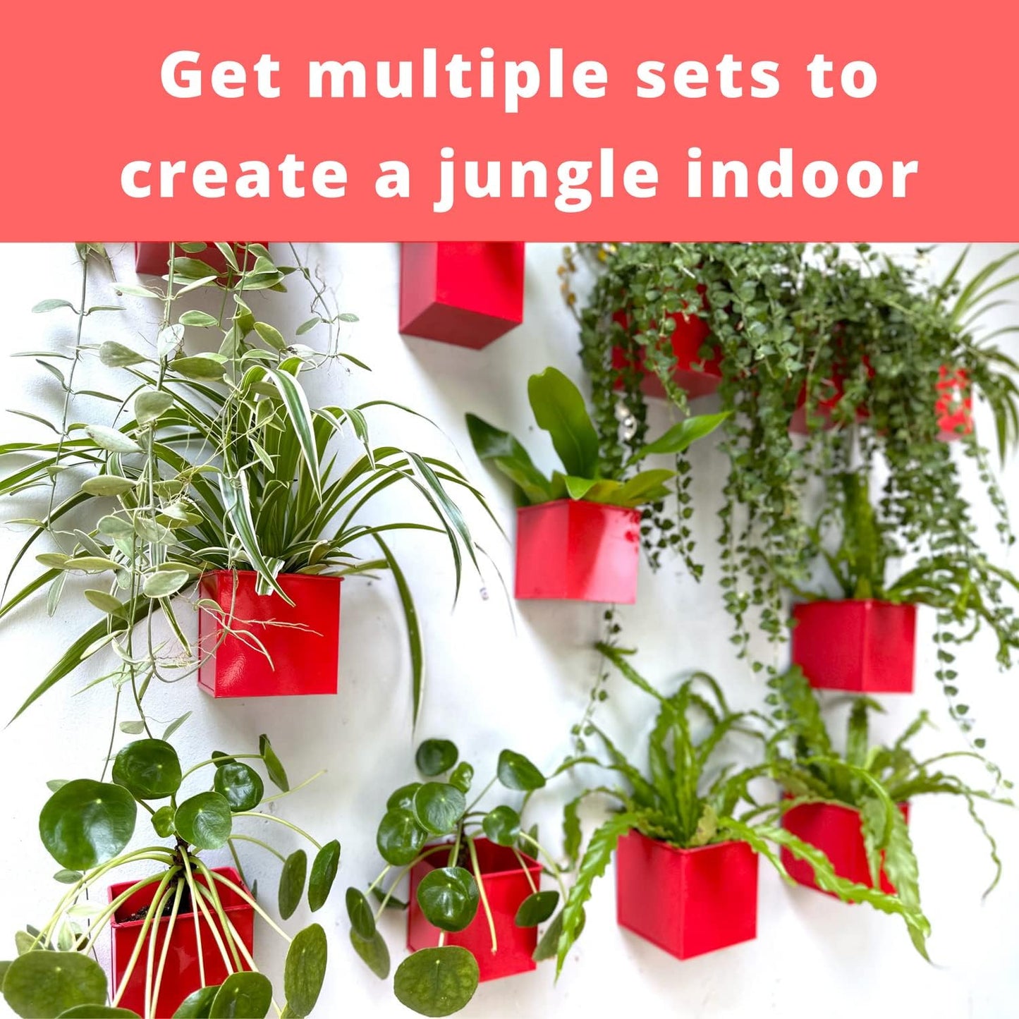 LaLaGreen Wall Planter - 6 Pack, 4 Inch Square Red Metal Wall Planter for Indoor Plants, Small Wall Mounted Christmas Decoration Flower Pots Outdoor Herb Garden, Balcony Railings Buckets Fence Porch