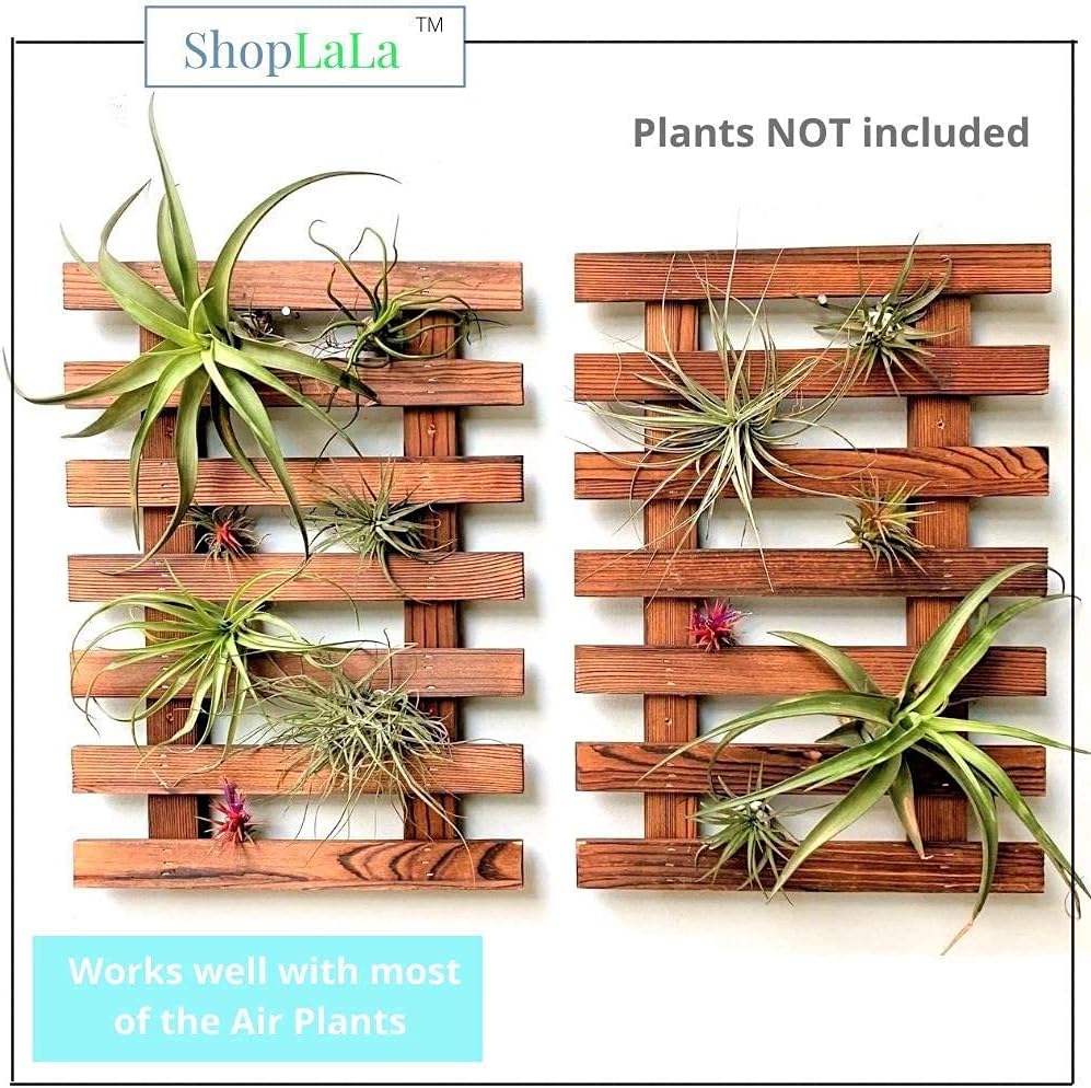 ShopLaLa Wall Planter - 2 Pack Wooden Orchid Planter Frame Display Outdoor Plants, Wall Mount Air Plants Succulent Holder Hanger, Vertical Garden Plant Wall Decor Macetas para Orquideas 15.7" (40cm)