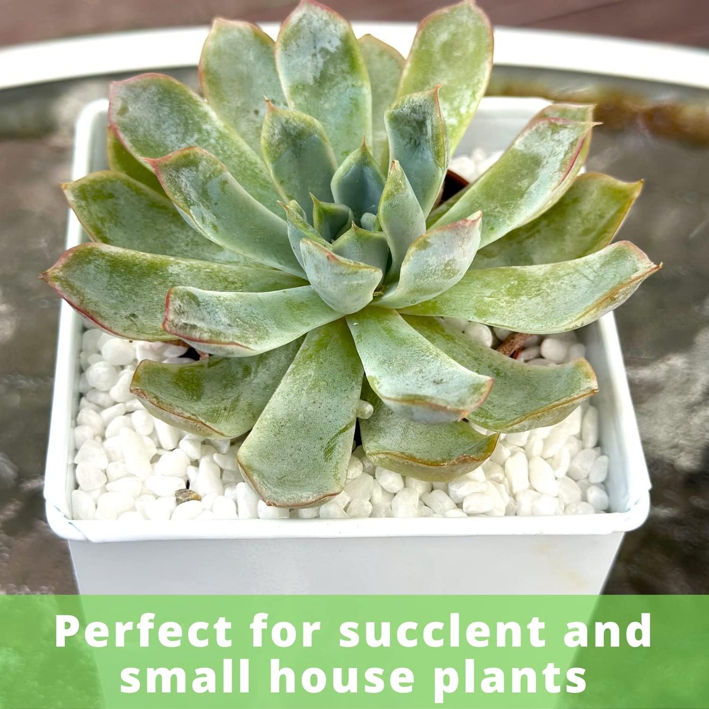 LaLaGreen Wall Planter - 6 Pack, 4 Inch Square Metal Wall Planter for Indoor Plants, Small White Wall Mounted Flower Pots Outdoor Herb Garden Decor, Balcony Railings Hanging Buckets Porch Patio