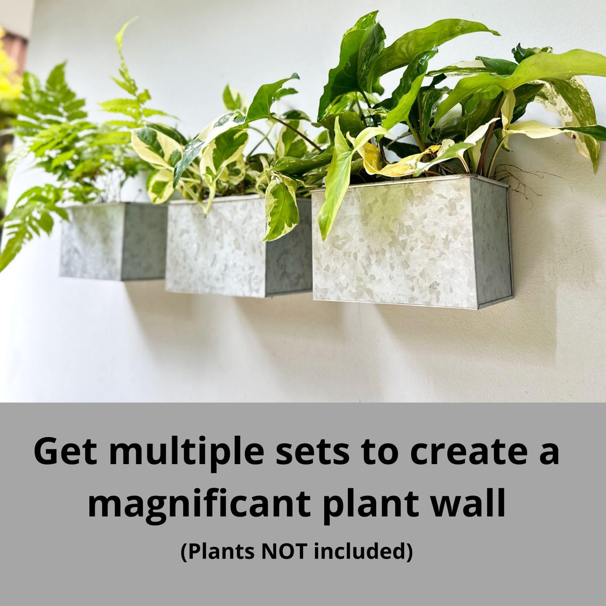 LaLaGreen Metal Wall-Mount Planter Pots