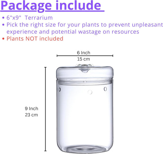Versatile Glass Terrarium Jar with Lid for Succulents, Reptiles, and Fairy Gardens