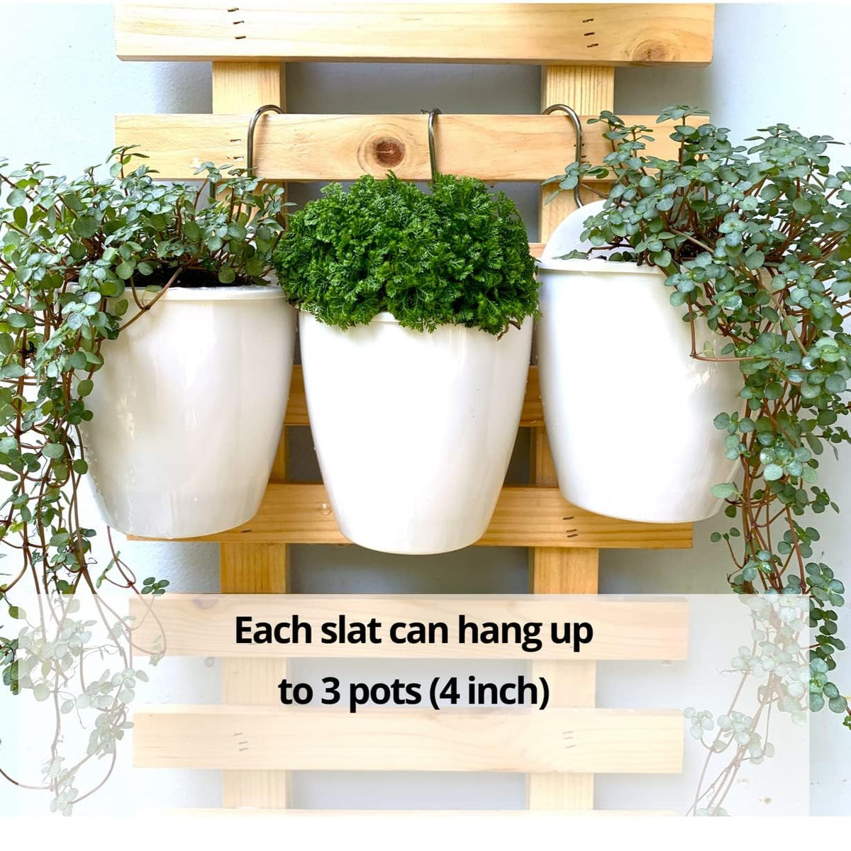 LaLaGreen Natural Wood Ladder-Style Wall Plant Holders