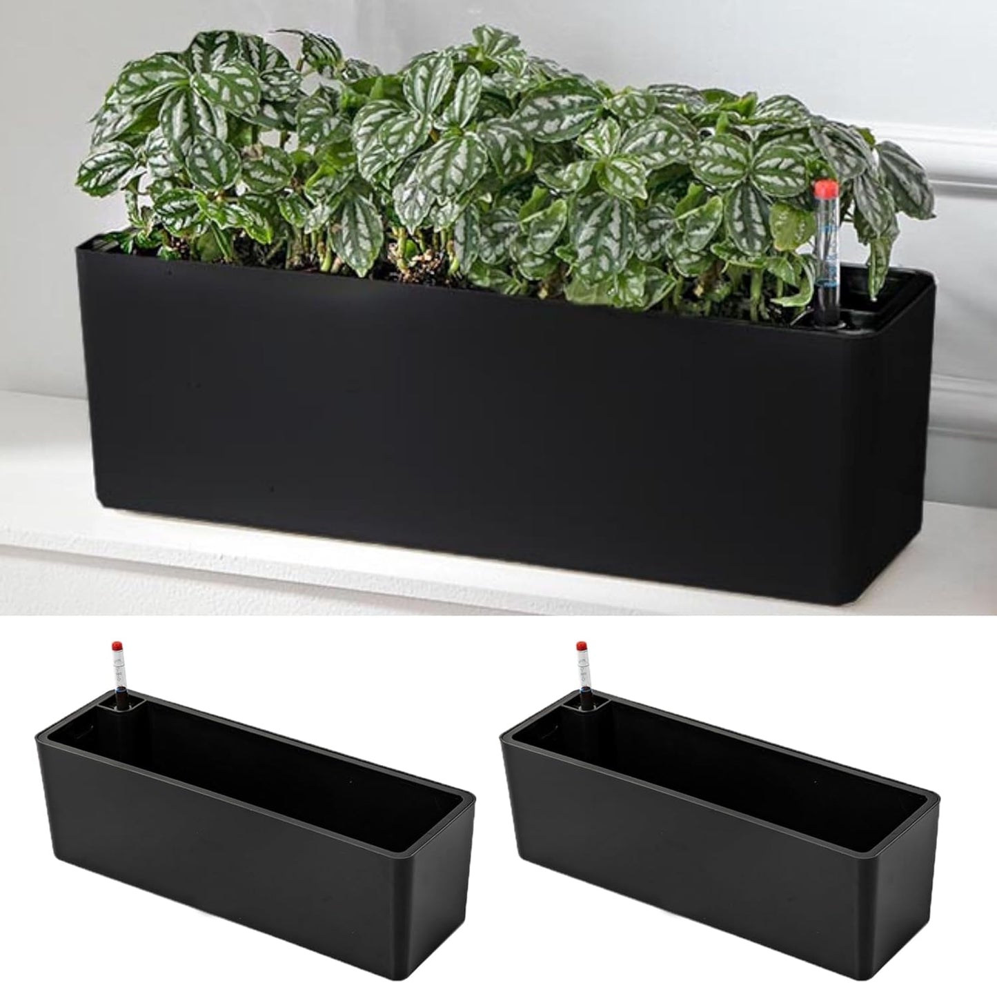 LaLaGreen Planter Box for Indoor Plants (2 Pack, 16 Inch) White Rectangular Self Watering Flower Pot, Large Window Boxes Planters with Drainage Decorative Modern Balcony Windowsill Herbs Home Garden