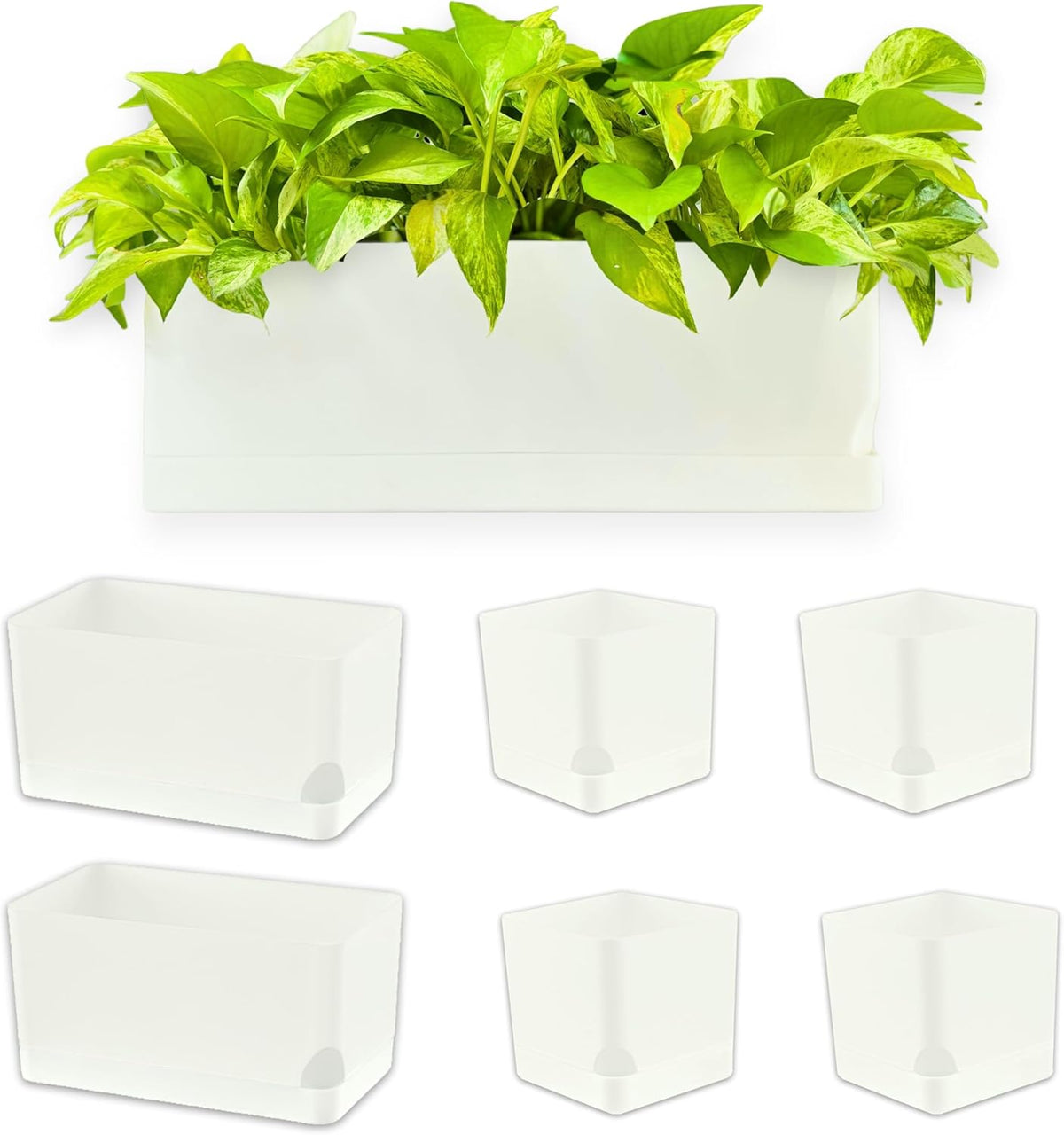 LaLaGreen Mixed-Size Self-Watering Planter Box Set