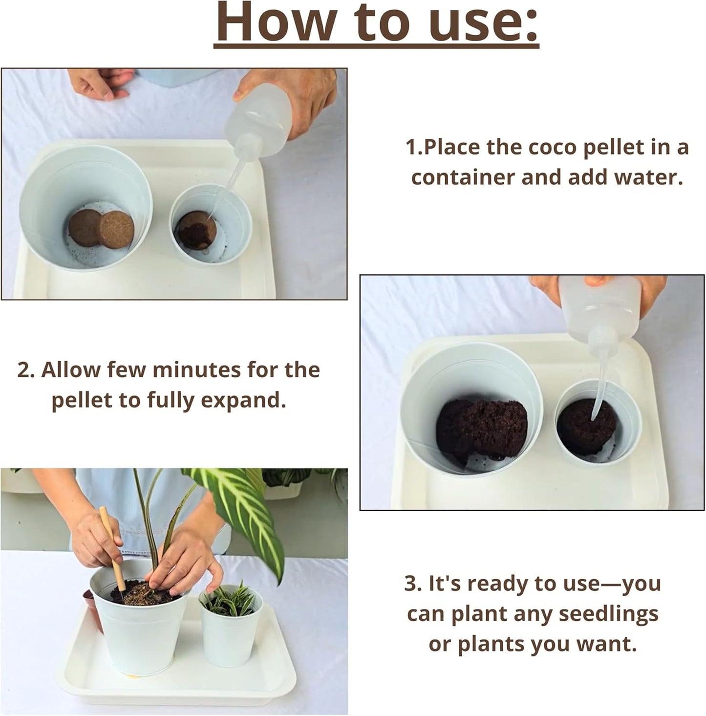 LaLaGreen Indoor Potting Soil (50mm, 20 Pack) Compressed Coco Coir Peat Pellets Organic Seed Starter Nutrient Pods Plugs for Planting Bonsai Herbs Plants Flowers and Vegetables Seedling Outdoor Garden