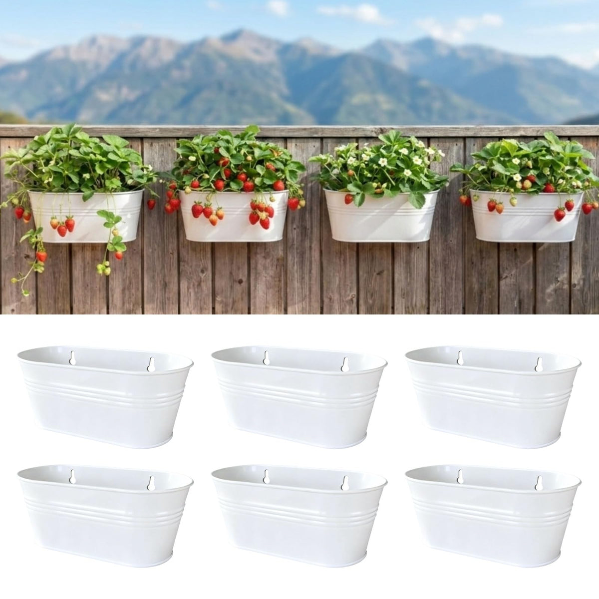 LaLaGreen Oval Metal Wall Planters