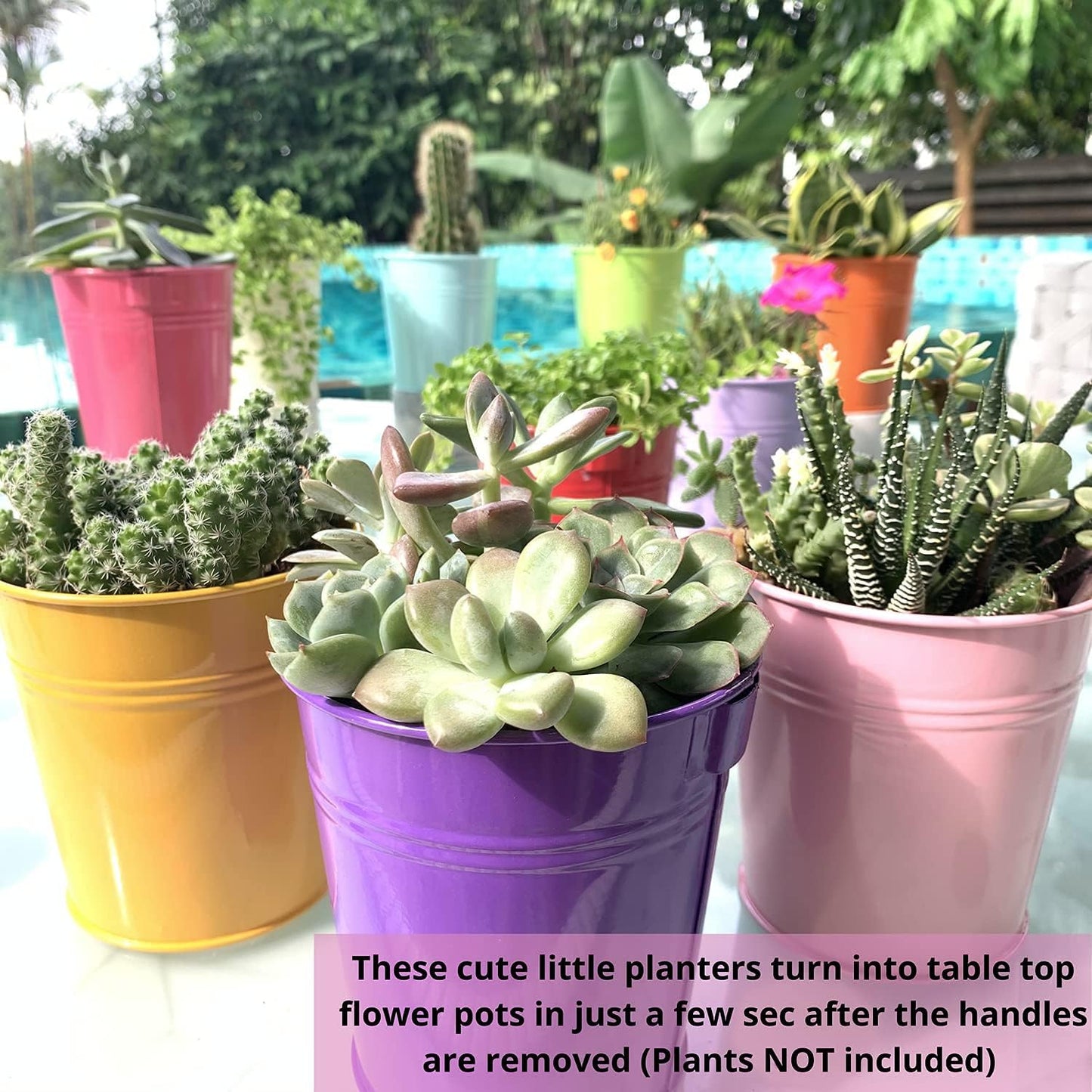 LaLaGreen Small Hanging Planters Outdoor - 10 Pack, 4 Inch Rainbow Planter Colorful Flower Pots Metal Iron, Rail Balcony Garden Deck Railing Plant Hanger Fence Wall, Herb Bucket Indoor Window Boxes