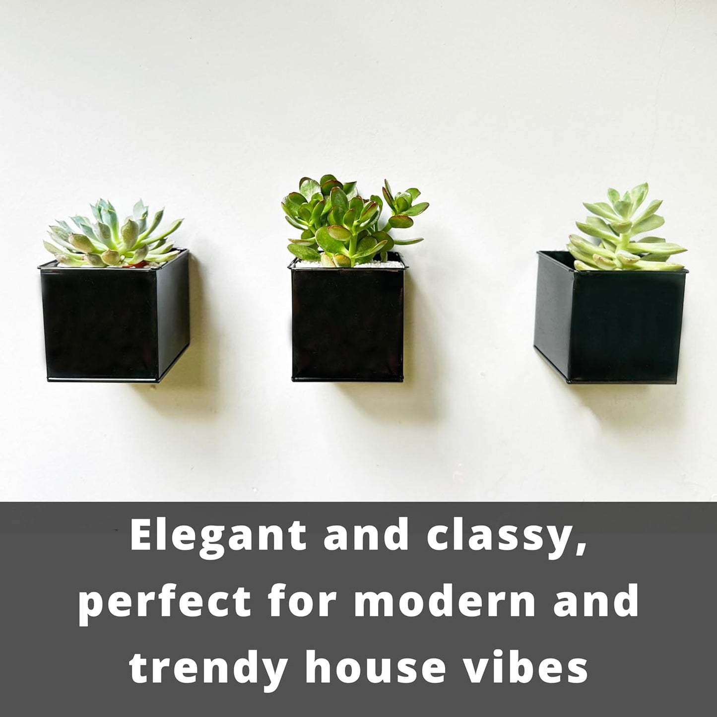 LaLaGreen Wall Planter - 6 Pack, 4 Inch Square Metal Wall Planter for Indoor Plants, Small Black Wall Mounted Flower Pots Outdoor Garden Decoration, Balcony Planters Railings Hanging Outdoor