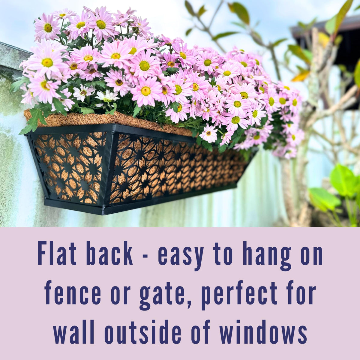 LaLaGreen Flower Wall Planter (12 in, 2 Pack) Black Metal Window Boxes