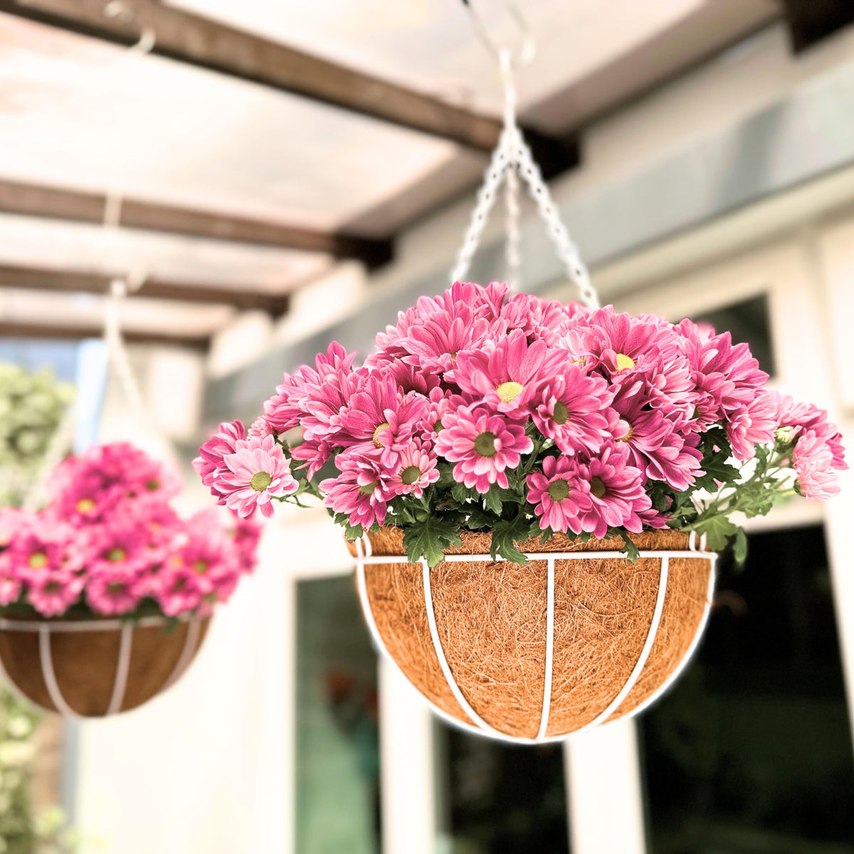LaLaGreen Coco Hanging Baskets (10 in, 2 Pack) White Metal Liner Planters